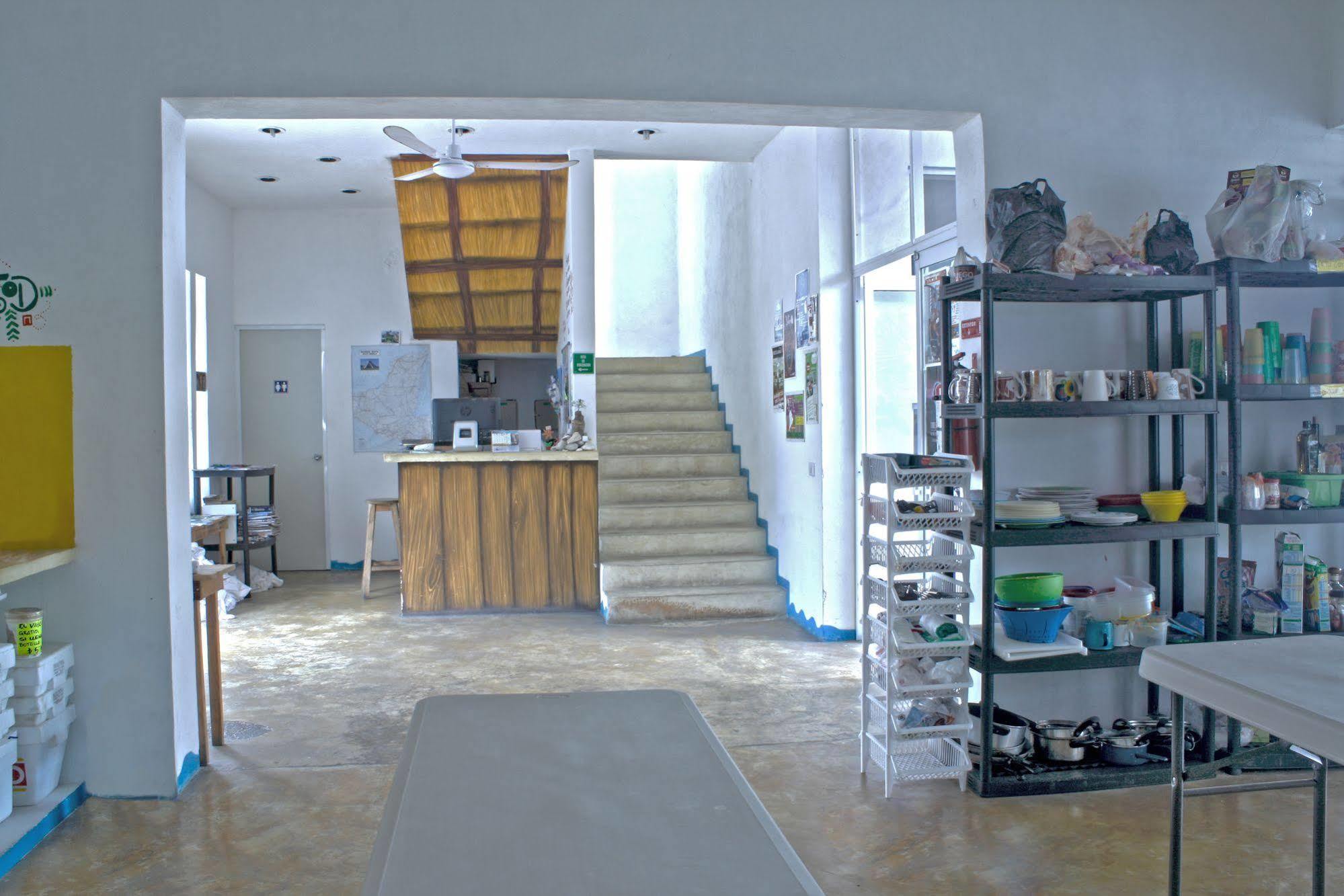 Hostal Vive La Vida بلايا ديل كارمن المظهر الخارجي الصورة