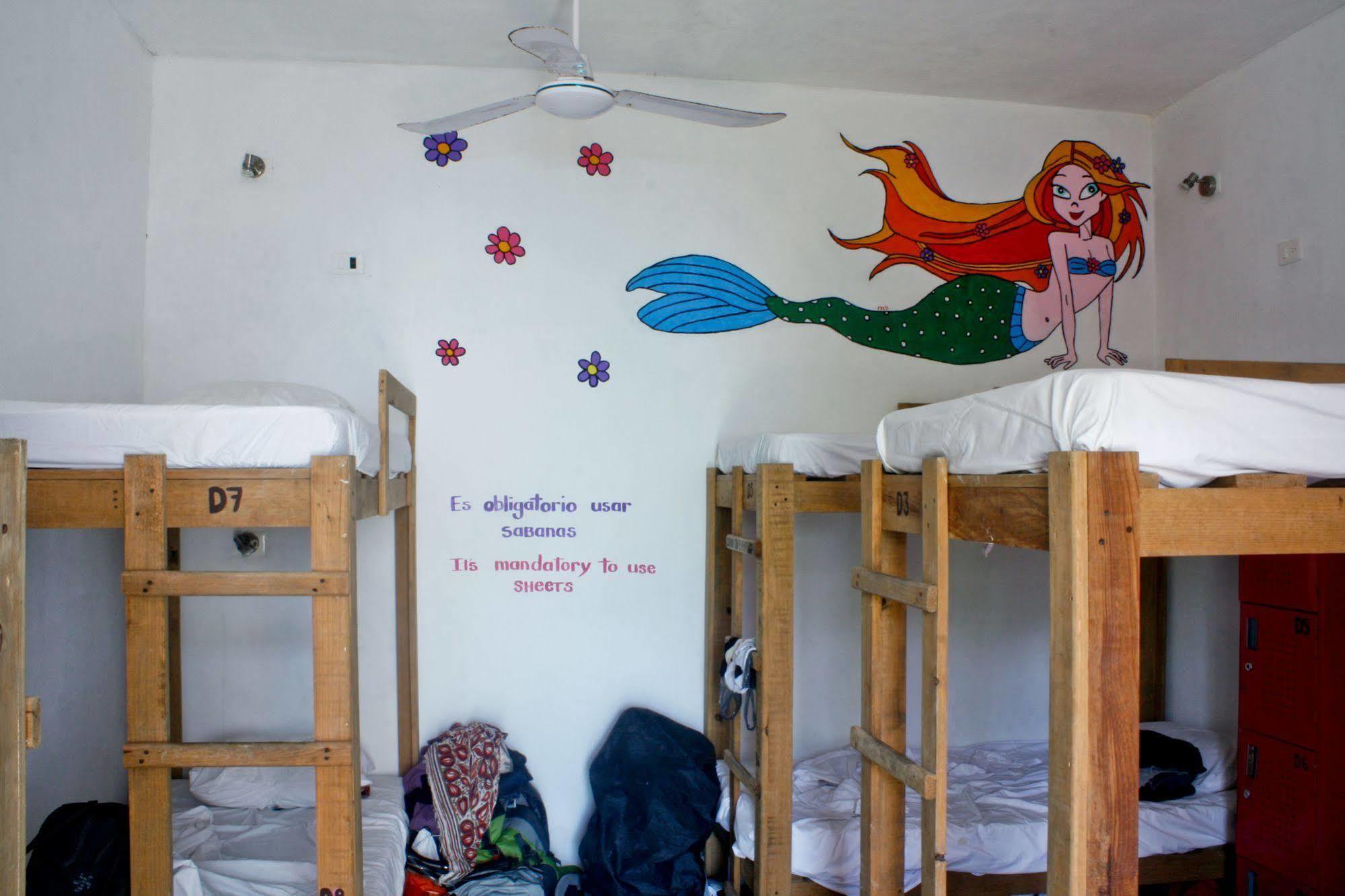 Hostal Vive La Vida بلايا ديل كارمن المظهر الخارجي الصورة
