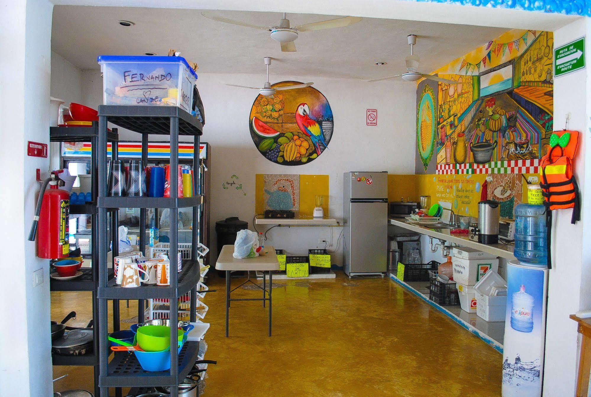 Hostal Vive La Vida بلايا ديل كارمن المظهر الخارجي الصورة