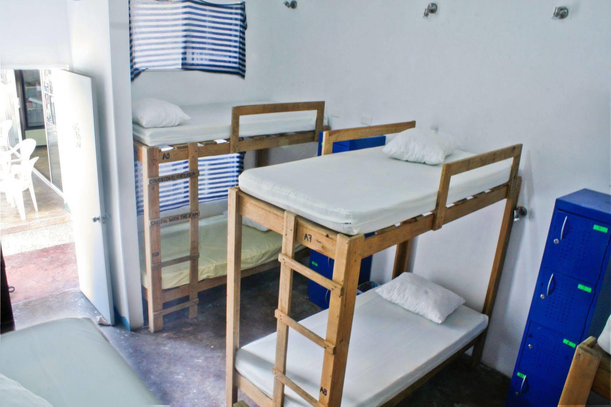 Hostal Vive La Vida بلايا ديل كارمن المظهر الخارجي الصورة